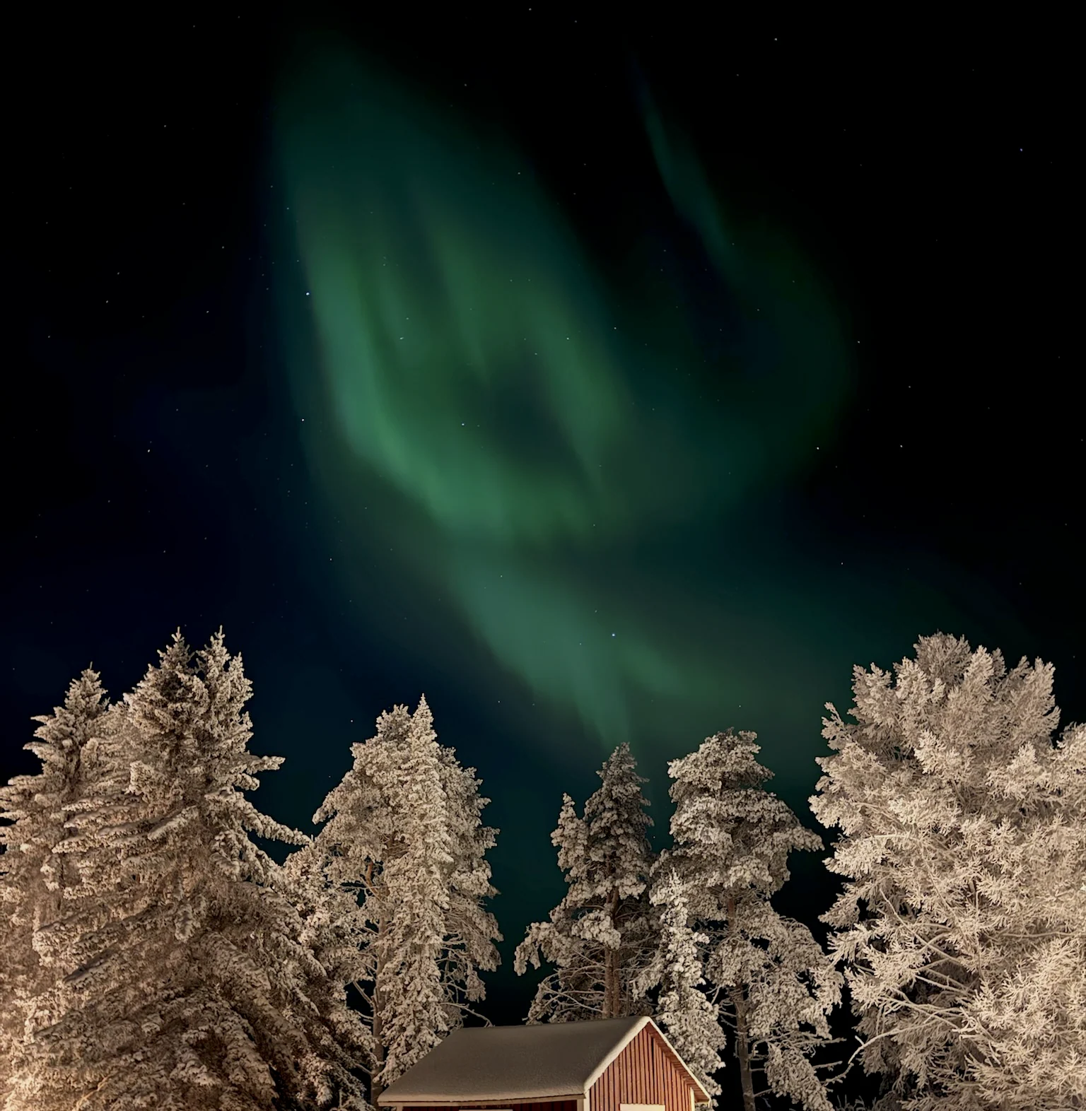 Green aurora bands stretching across a dark sky near Rovaniemi