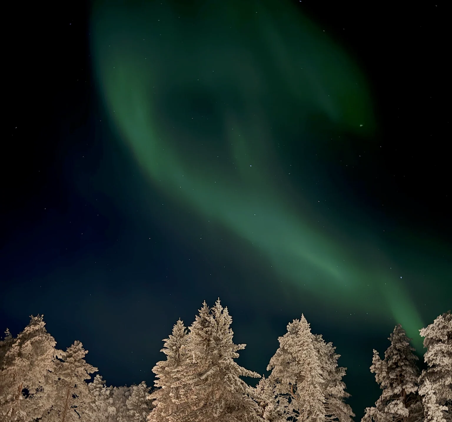 Bright green aurora curving through the night sky