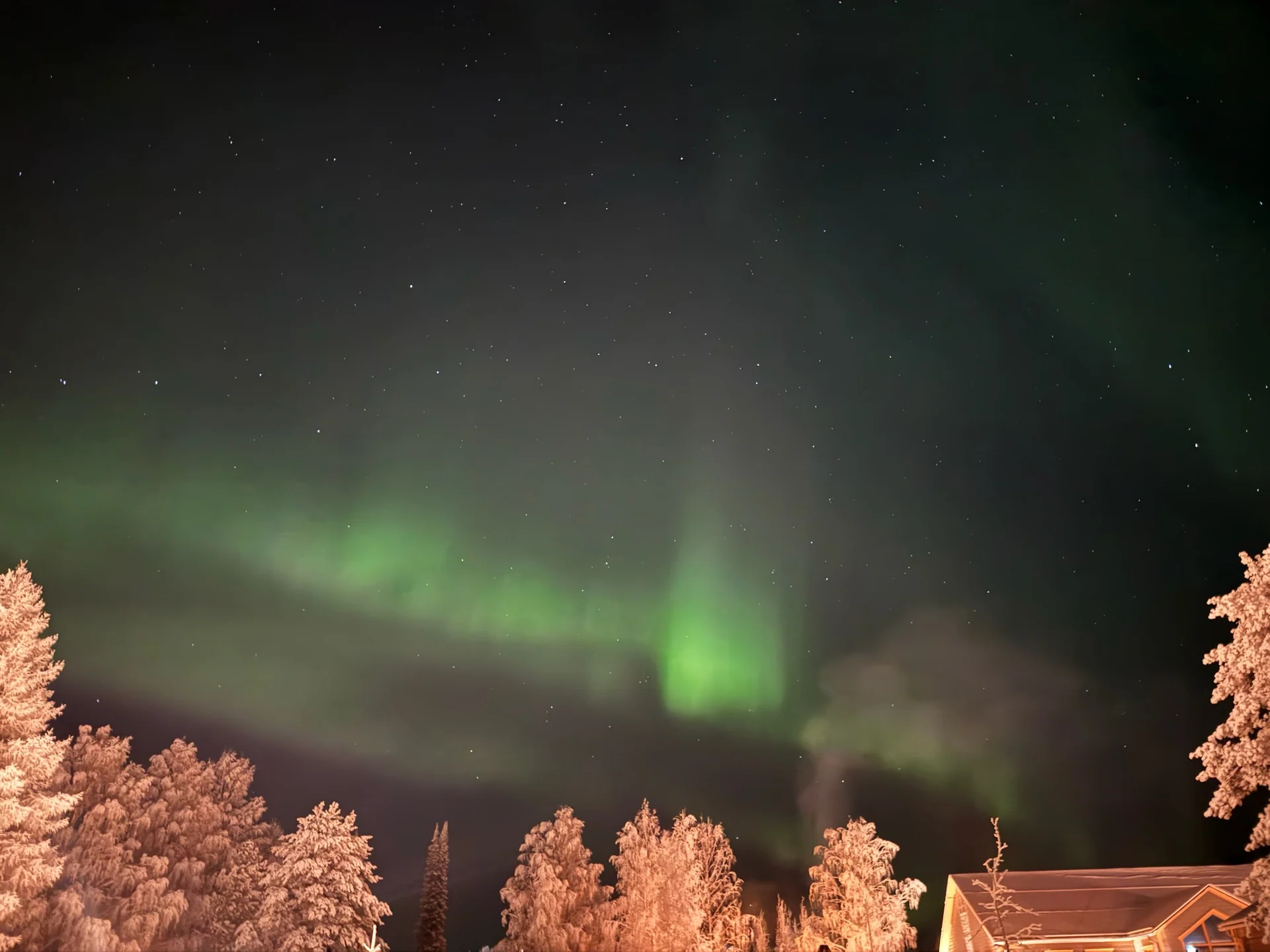 Dim green aurora low in the night sky