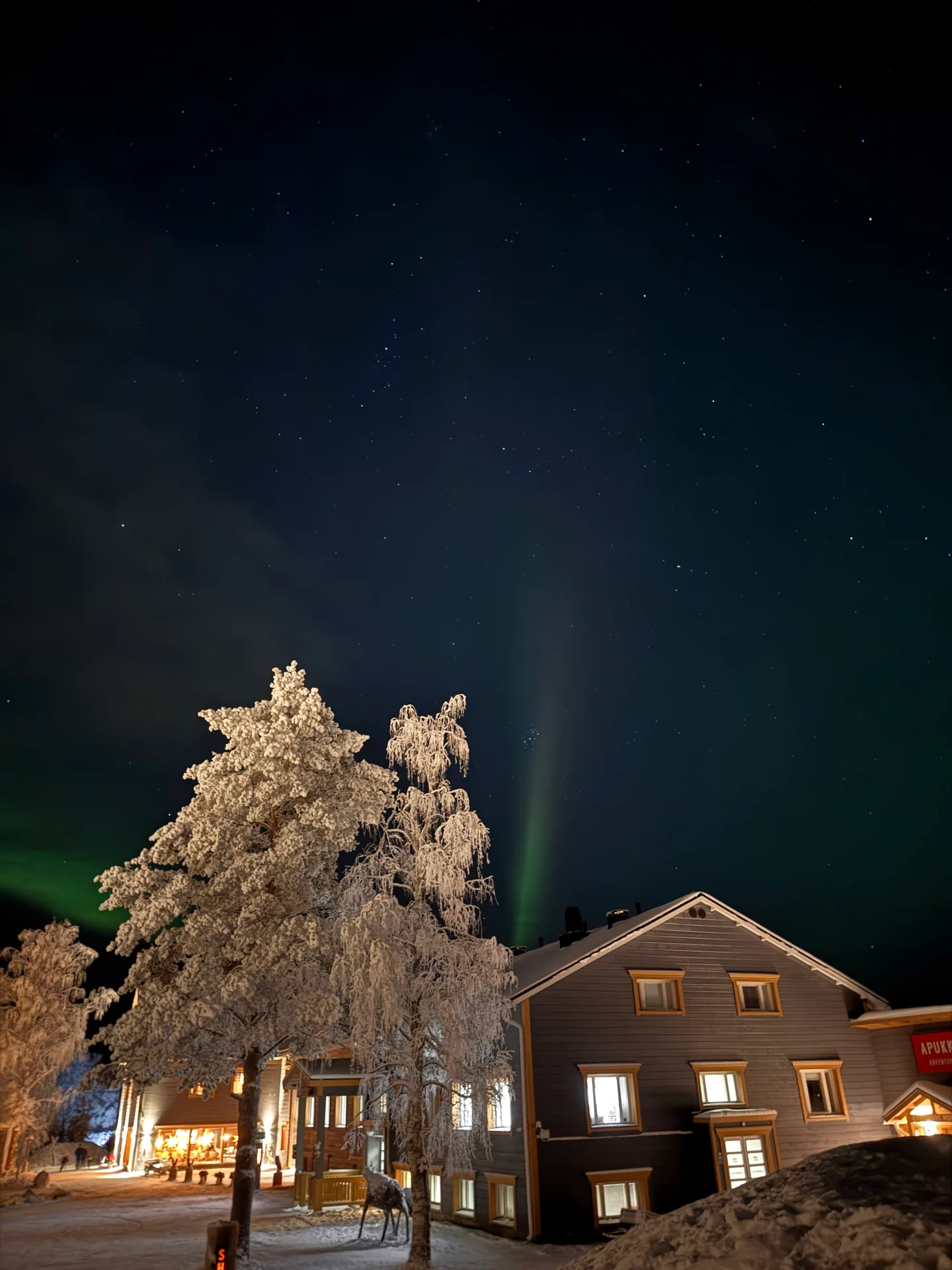 Faint green aurora visible above a dark snowy landscape