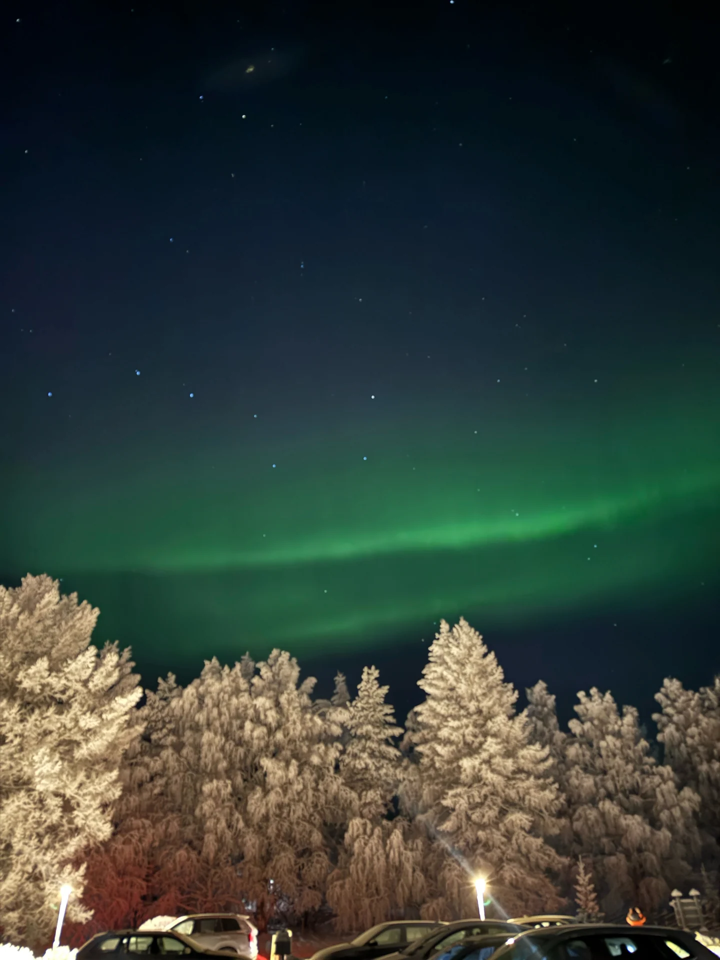 Faint green aurora above snow-covered trees near Rovaniemi