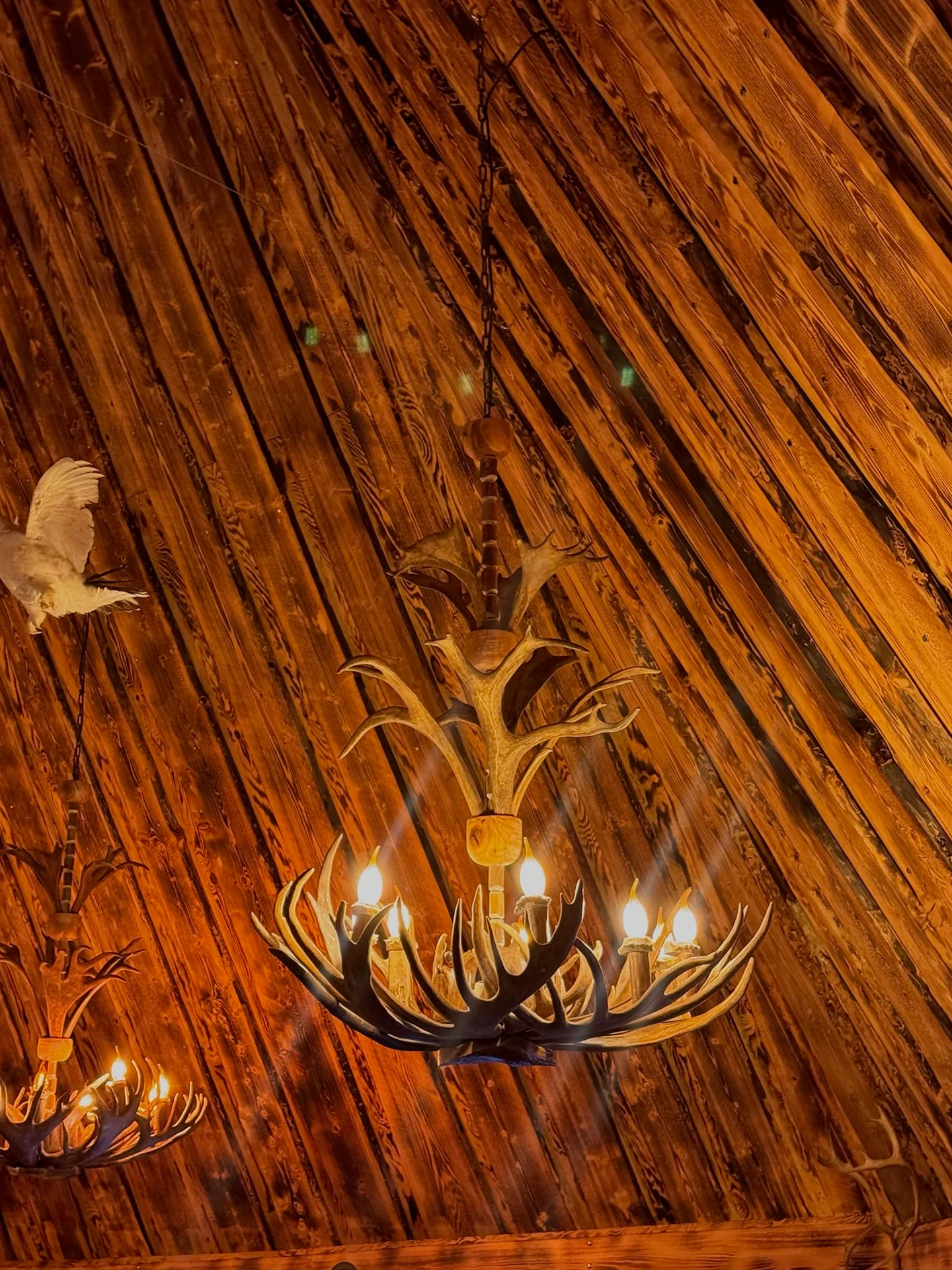 Rustic wooden interior of Restaurant Kotahovi