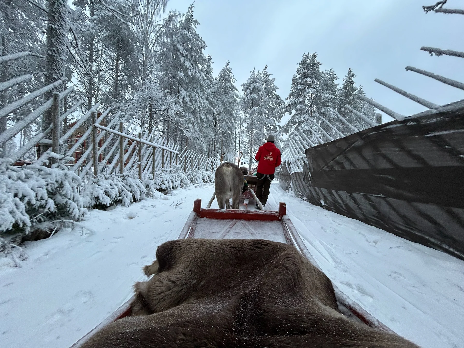 View past a reindeer and sleigh during the short Santa Claus Village ride